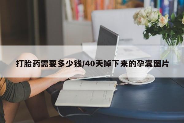 买打胎药的联系方式微信打胎药需要多少钱/40天掉下来的孕囊图片